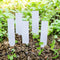 Name pin - Plant